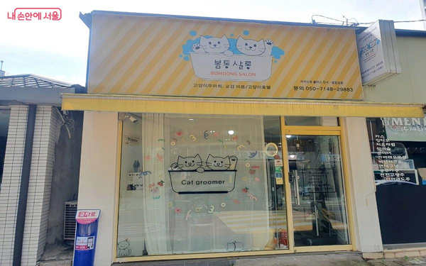 반려묘를 전담하는 성북구 우리동네 펫위탁소 ©엄윤주