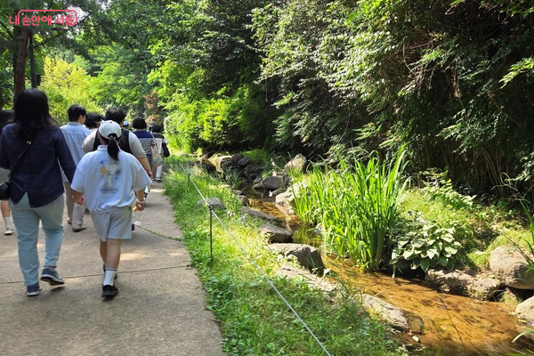 실개천이 흐르는 물속에 싱싱한 창포가 바람에 하늘거린다. ©김미선
