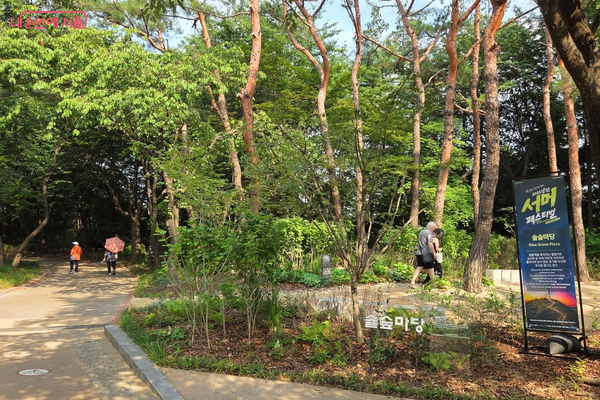 숲 아래 자연과 어우러진 돌의자에 앉아 쉴 수 있는 웰컴가든 솔숲마당 ©김미선