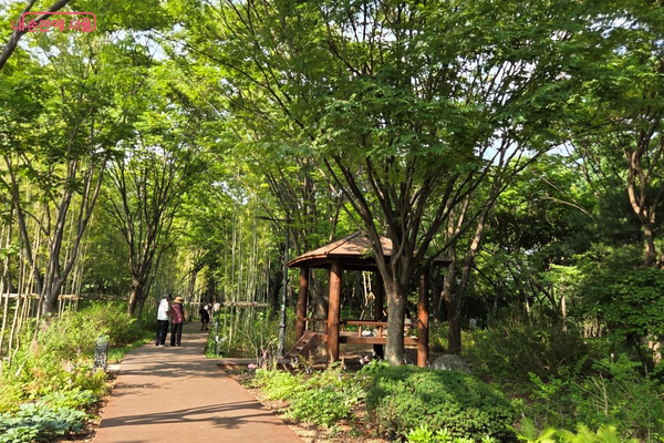 아담한 정자에서 남산의 바람과 자연의 소리를 듣고 쉬어간다. ©김미선
