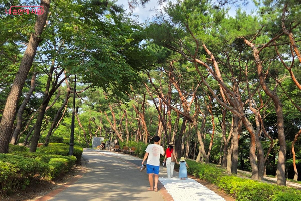 솔숲원 옆 지압길 ©김미선