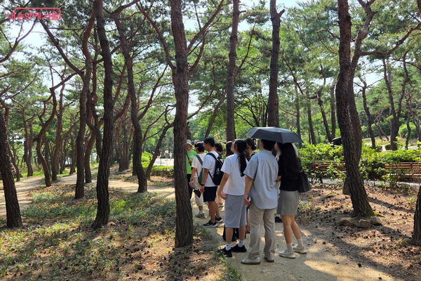 솔숲원의 소나무 사이 길을 걸으며 흙을 밟아 보았다. ©김미선
