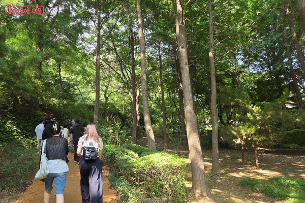 짙은 녹음이 우거진 은행나무 아래를 거닌다. ©김미선