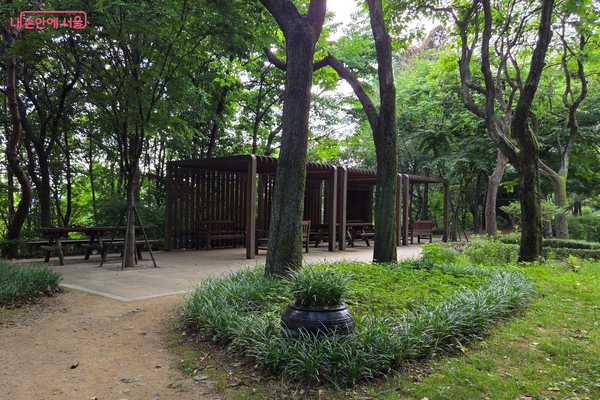 나무 숲에는 쉴 수 있는 공간도 여러 곳 마련돼 있다. ©김미선