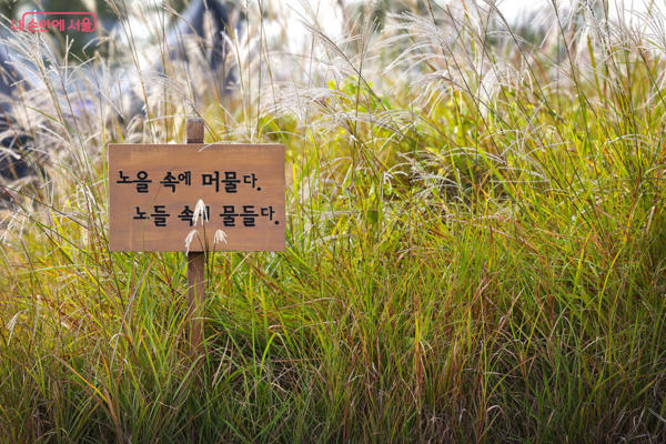 가을 감성 가득한 노들섬의 풍경 ©김주연